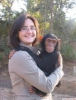 Sevimli bebek chimpazee