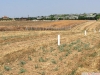 Silivri yeni çanta merkezde deniz manzaralı arsa