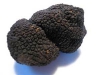 Truffle(siyah mantar)