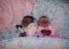 cretsiz evlat edinmek iin baby marmoset monkeys