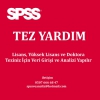 Uygun fiyata spss destek