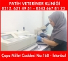 Veteriner klinii fatih