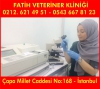 Veteriner klinii fatih