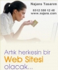 Web tasarm hizmetleri