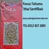 Yonca Tohumu,Yonca-Tohumu,Yonca_Tohumu,Yonca Tohumu,Gea